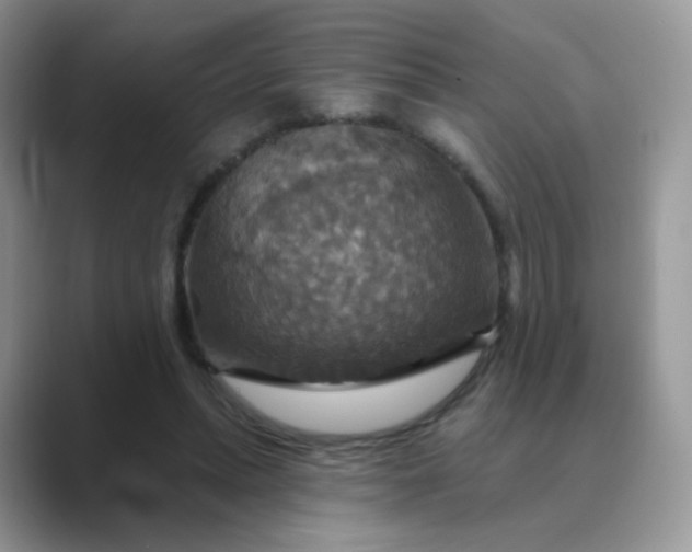 X0000089720447200707051723