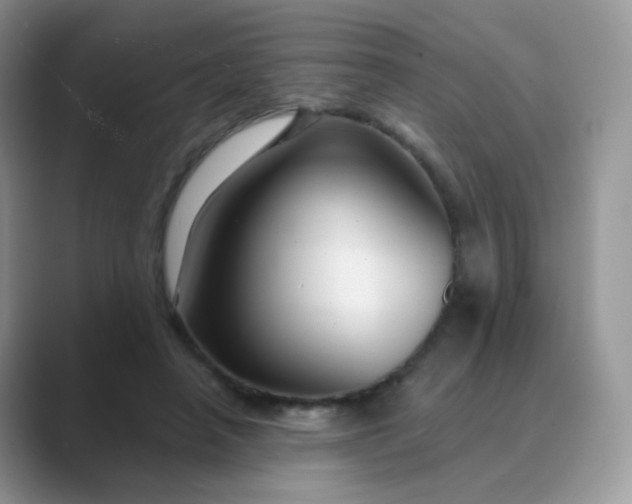 X0000089720450200707051723
