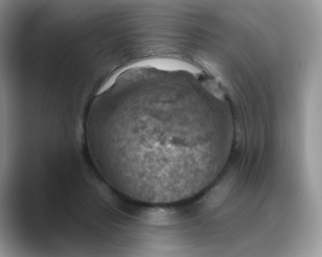 X0000089720453200707051723