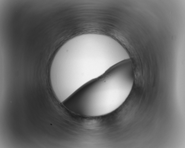 X0000089720454200707051723