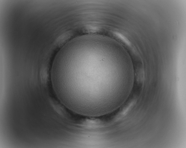 X0000089720455200707051723