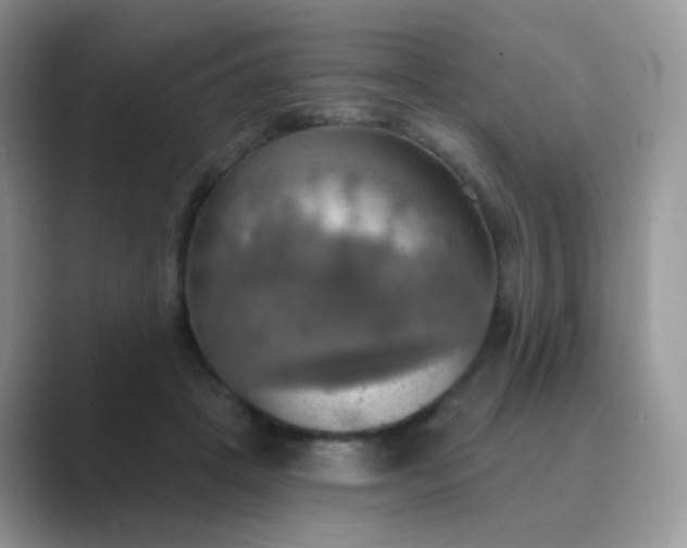 X0000089720457200707051723