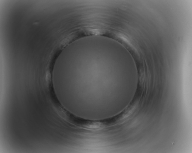 X0000089720459200707051723