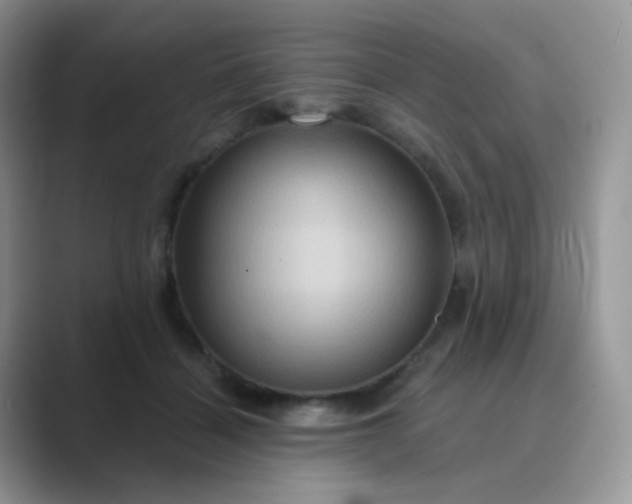 X0000089720460200707051723