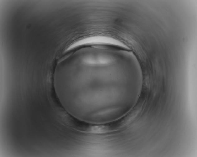 X0000089720461200707051723