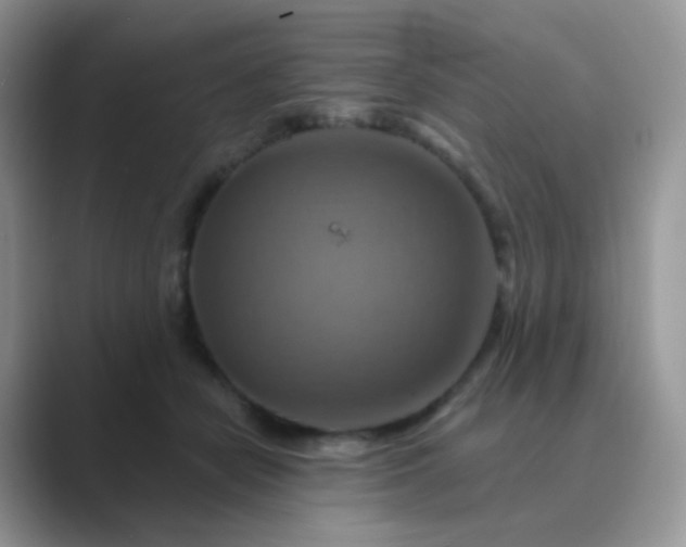 X0000089720462200707051723