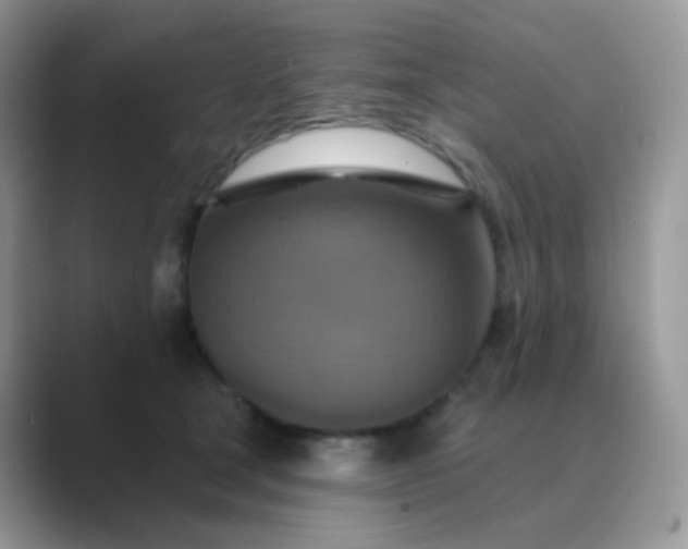 X0000089720465200707051723