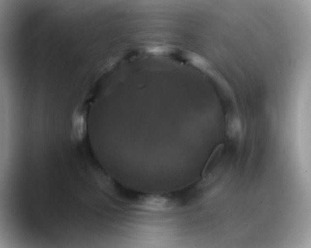 X0000089720471200707051723
