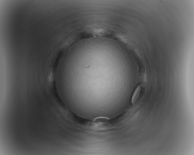 X0000089720472200707051723