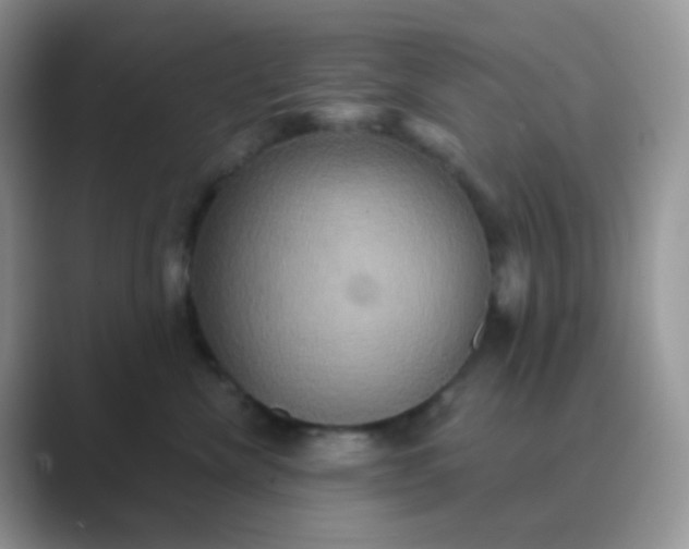 X0000089720476200707051723