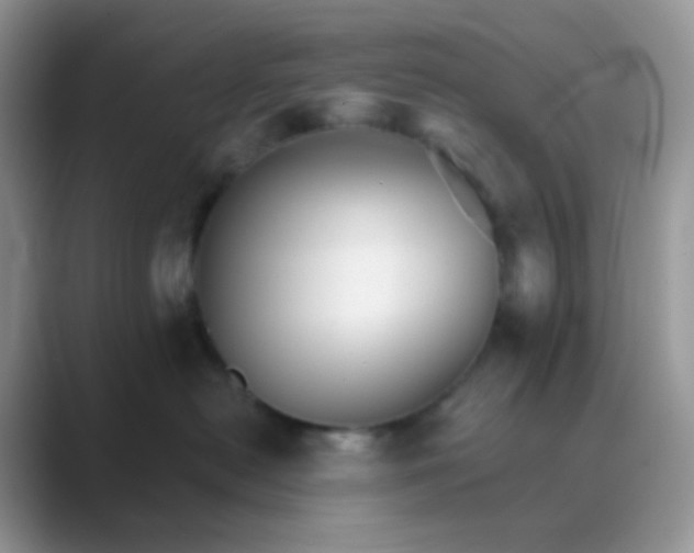 X0000089720478200707051723