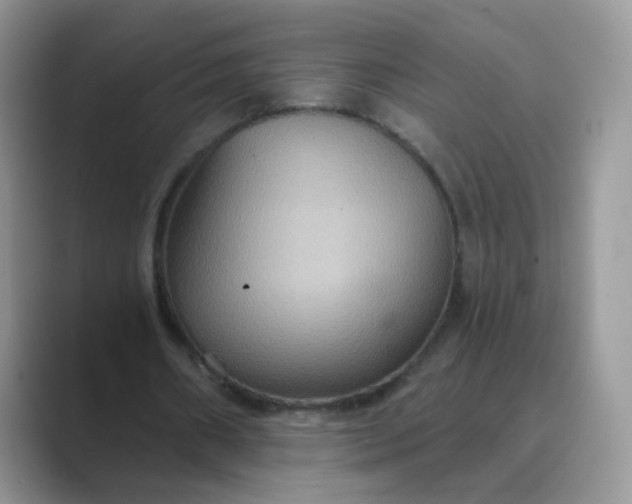 X0000089720482200707051723
