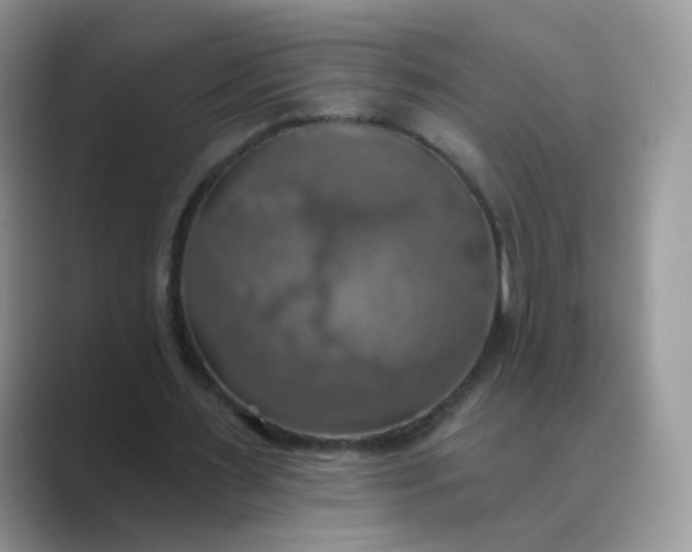 X0000089720483200707051723