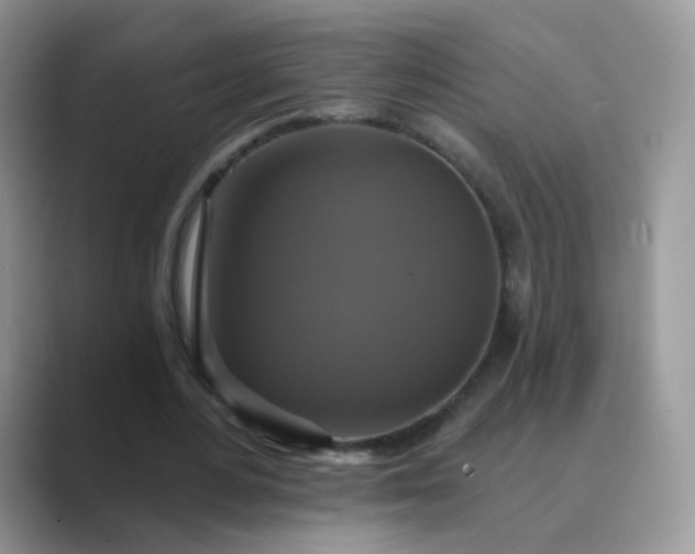 X0000089720484200707051723