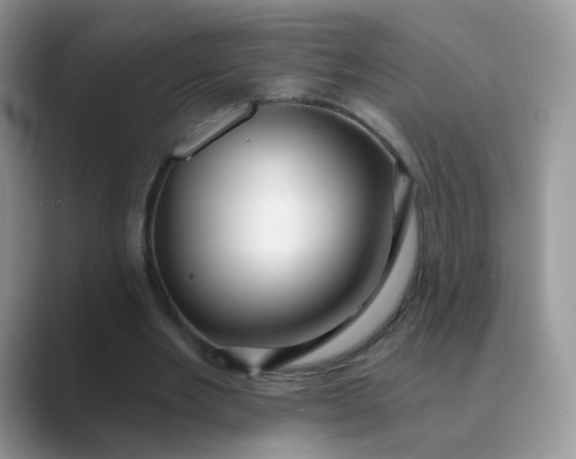 X0000089720485200707051723