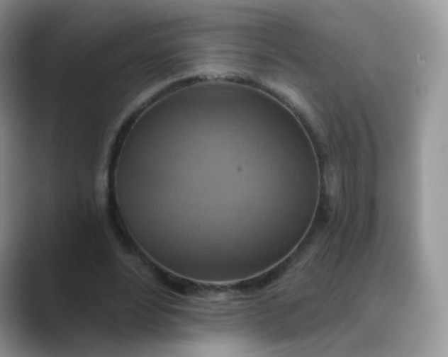X0000089720488200707051723
