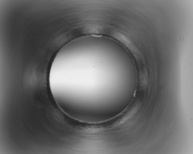 X0000089720489200707051723