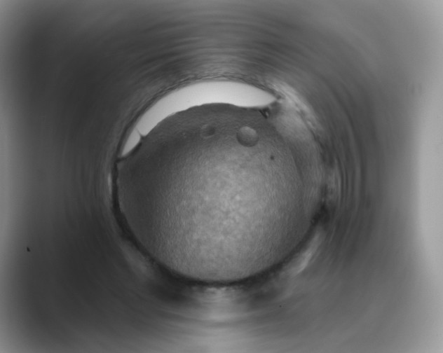 X0000089720493200707051723