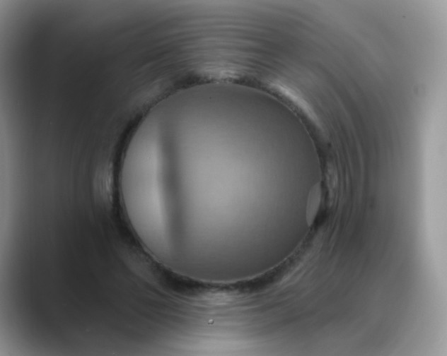 X0000089720494200707051723