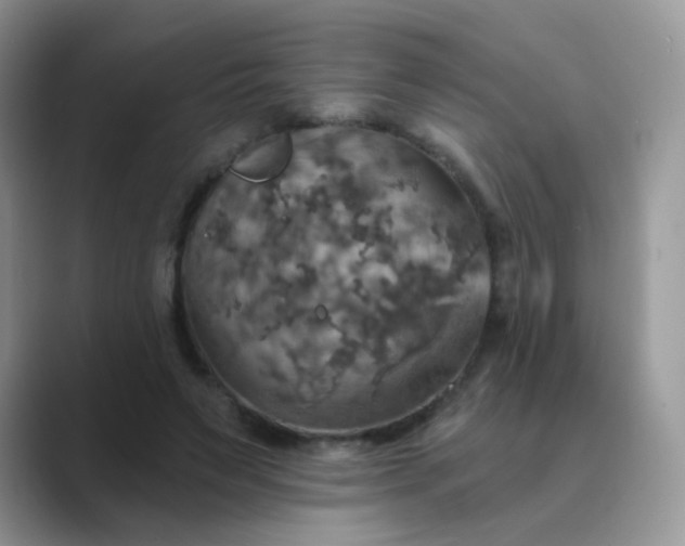 X0000089720495200707051723