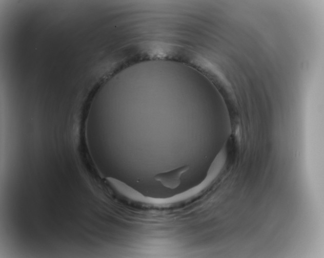 X0000089720496200707051723