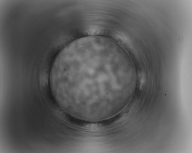 X0000089720499200707051723