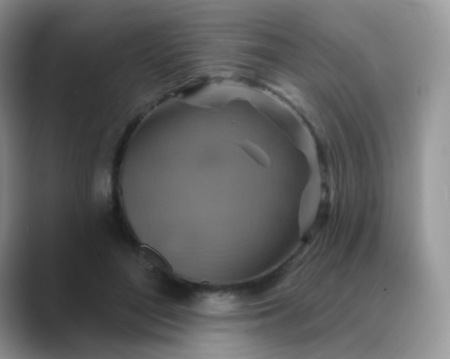 X0000089720500200707051723