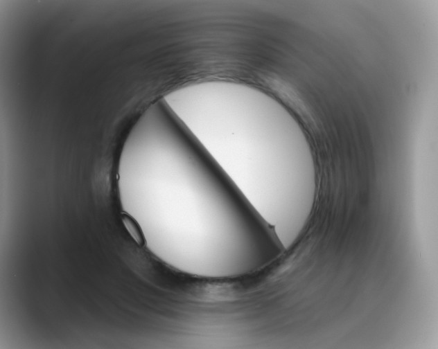 X0000089720501200707051723