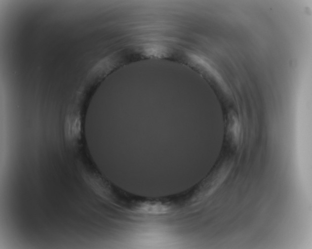 X0000089720502200707051723