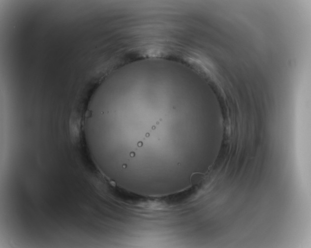 X0000089720503200707051723