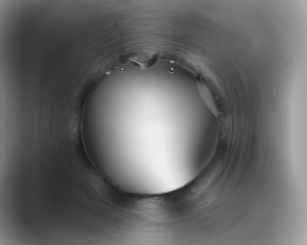 X0000089720505200707051723