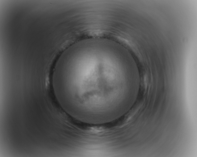 X0000089720508200707051722