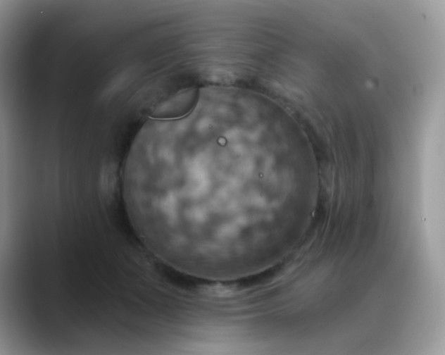 X0000089720511200707051722