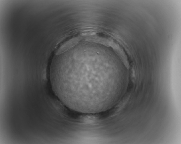 X0000089720512200707051722