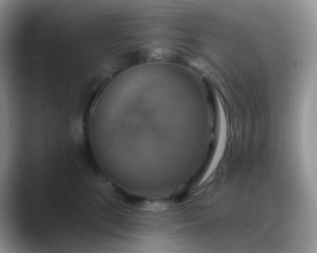 X0000089720520200707051722