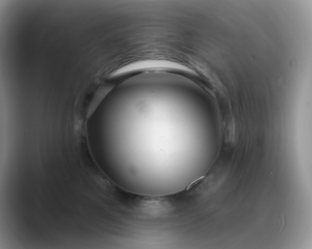 X0000089720521200707051722