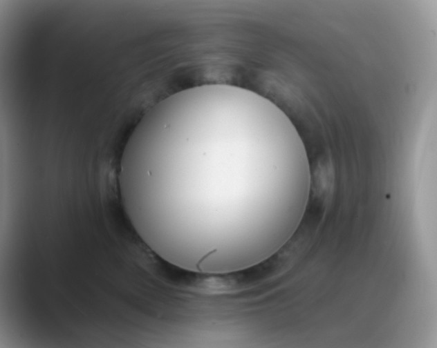 X0000089720522200707051722