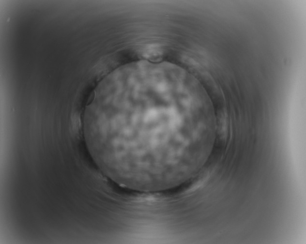 X0000089720523200707051722