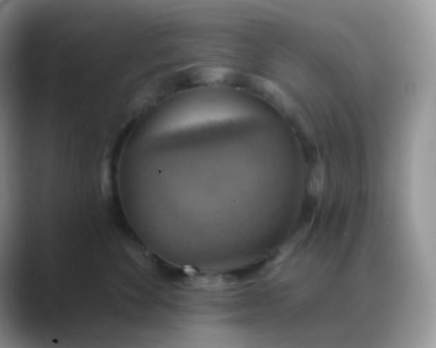 X0000089720524200707051722