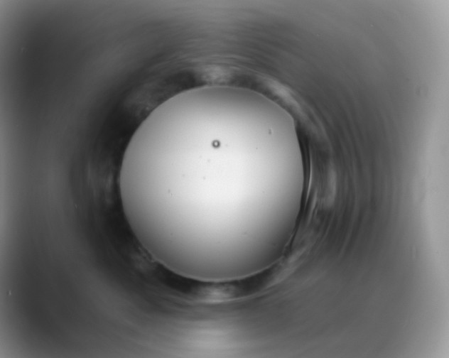 X0000089720525200707051722
