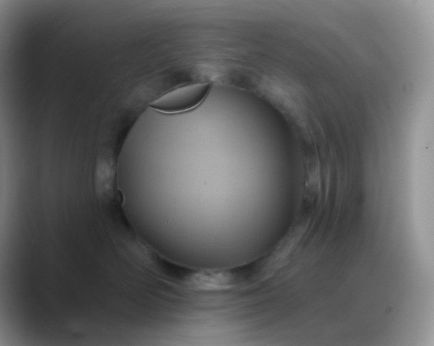 X0000089720526200707051722