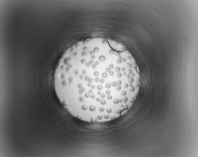 X0000089720527200707051722