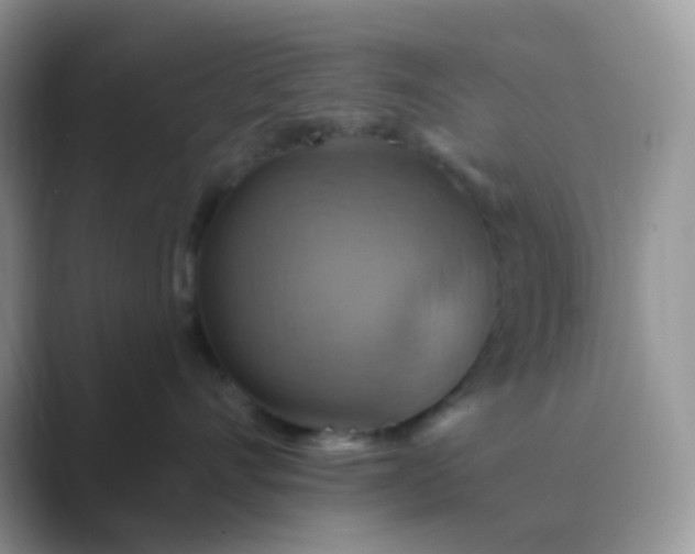X0000089720528200707051722