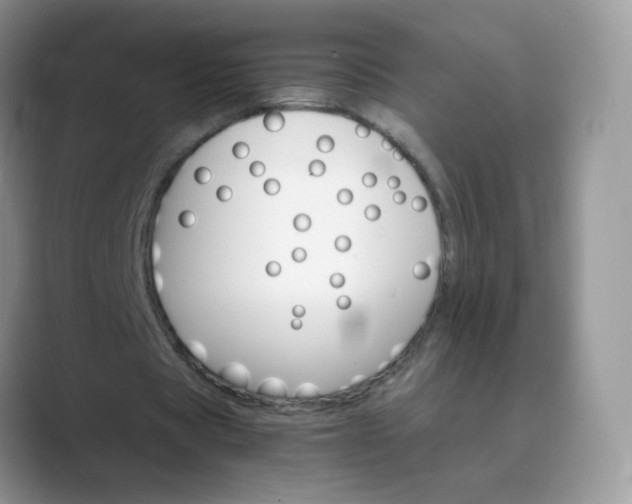 X0000089720529200707051722