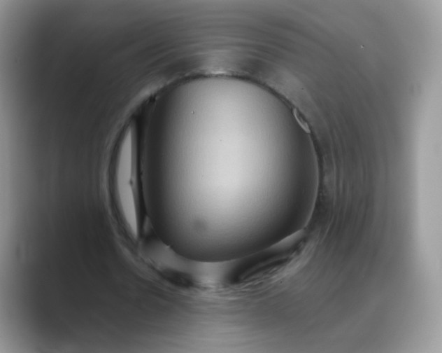X0000089720530200707051722