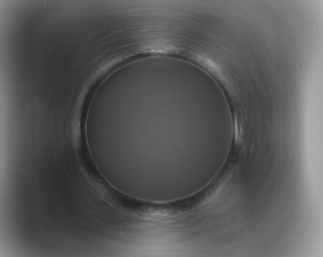 X0000089720531200707051722