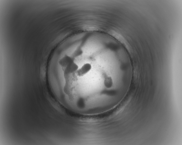 X0000089720533200707051722