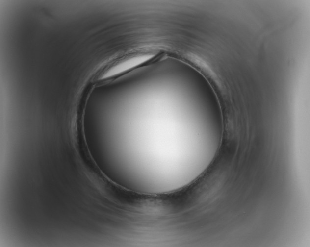 X0000089720535200707051722