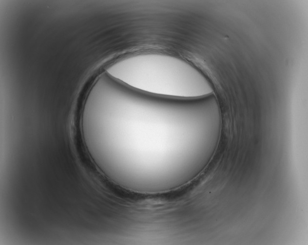 X0000089720536200707051722