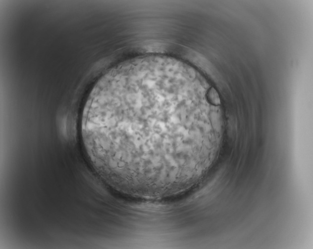 X0000089720537200707051722